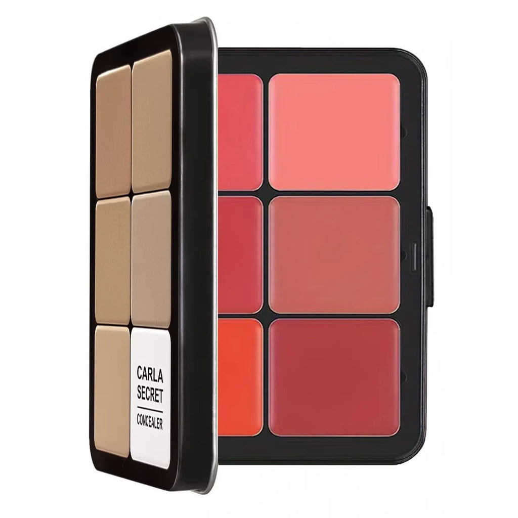 Palette de maquillage tout-en-un comprenant un correcteur, un blush, un highlighter et un contouring mats
